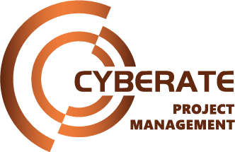 Cyberate PM SAFE 模型架构